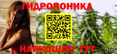 сатива Шебекино