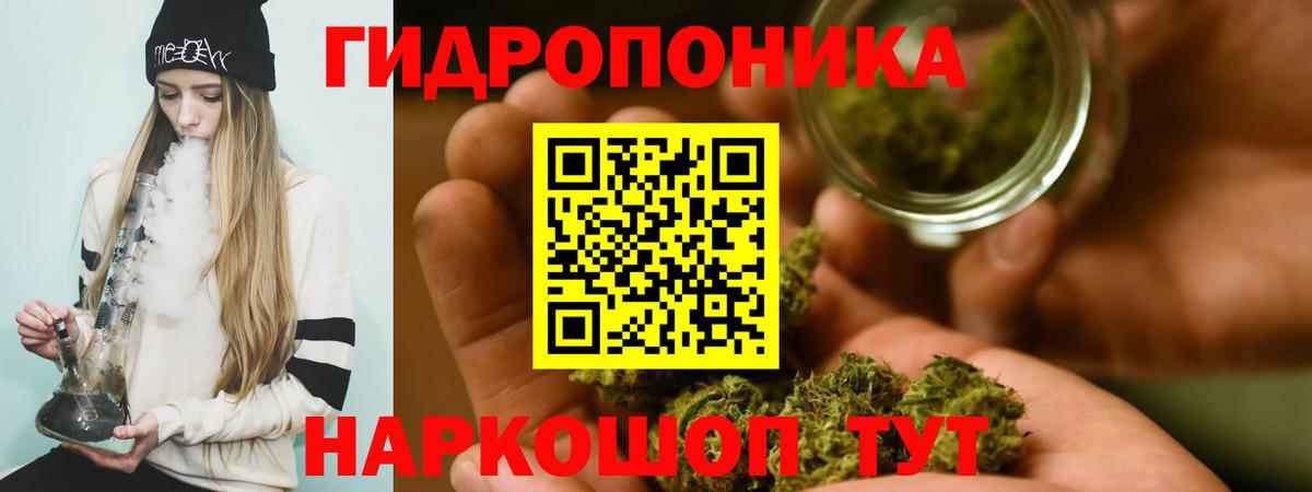 Бошки Шишки сатива  Каннабис Bruce Banner  Ишим  Вход с VPN 